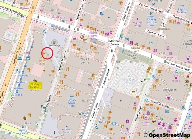 スカイシティホテル (Sky City Hotel - 72 Victoria Street West, Auckland CBD)