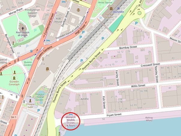 MONARCH WILDLIFE CRUISE & TOURS のオフィス(20 Fryatt Street, Dunedin）