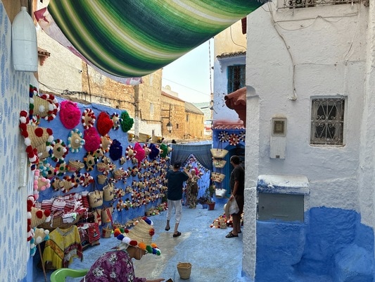 6泊7日ツア－（都市周遊ツアー）