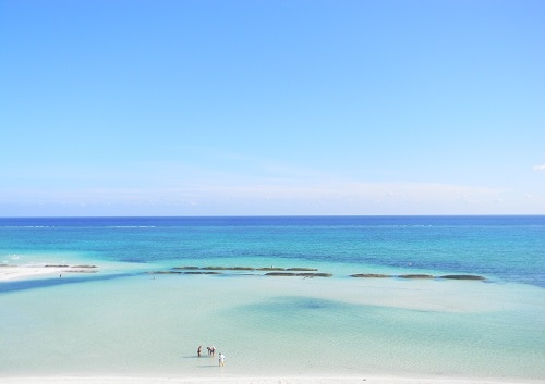 海のアクティビティ
