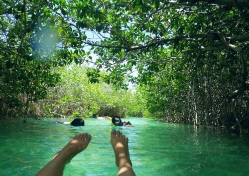 H I S カンクン発 メキシコ の世界遺産シアン カアンオプショナルツアー 海外現地ツアー格安予約