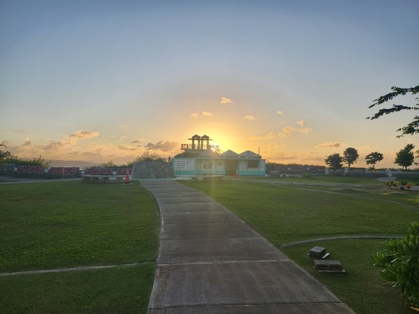 ナイトマーケット