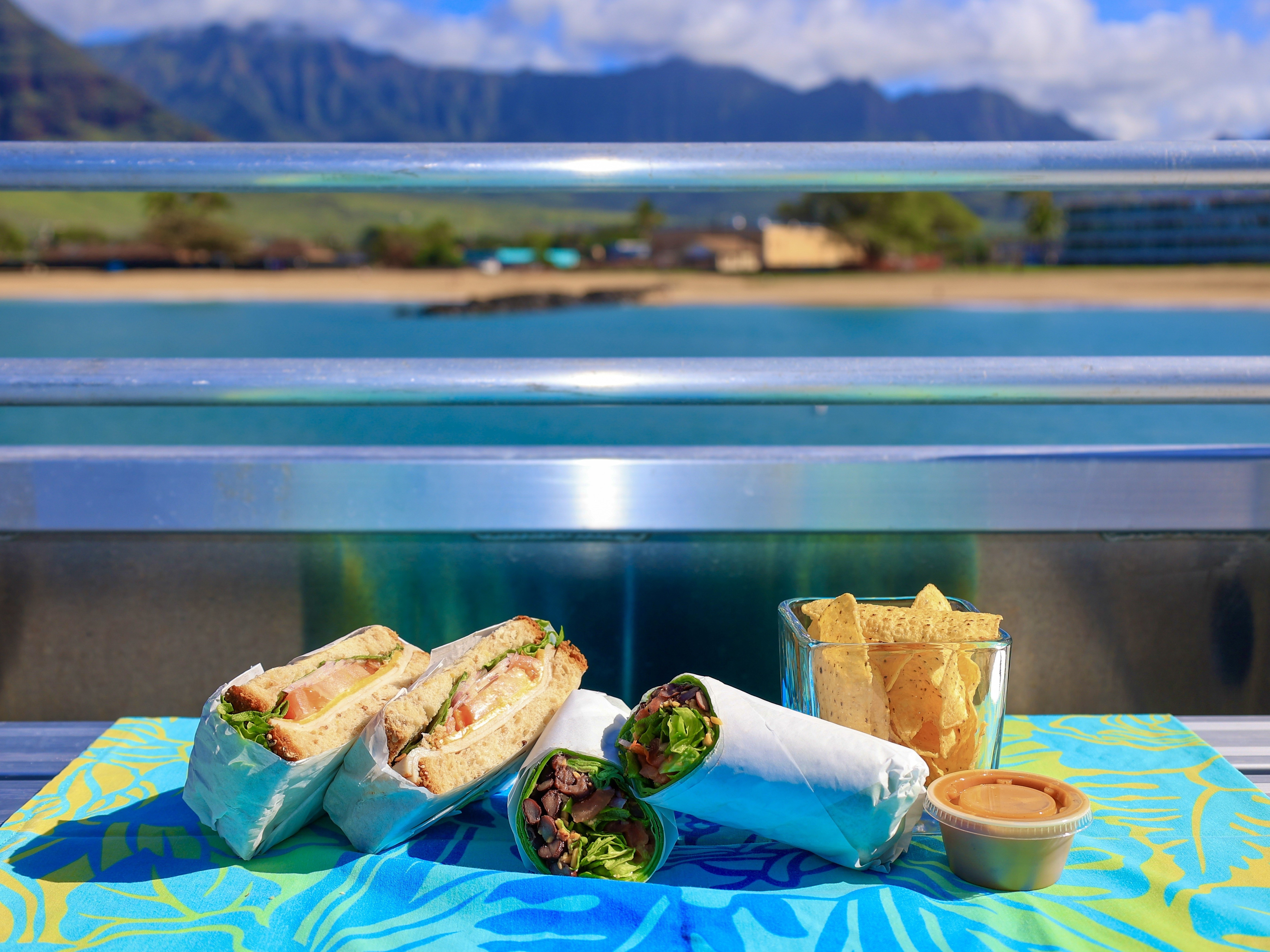 イルカ、カメ　ウォッチング