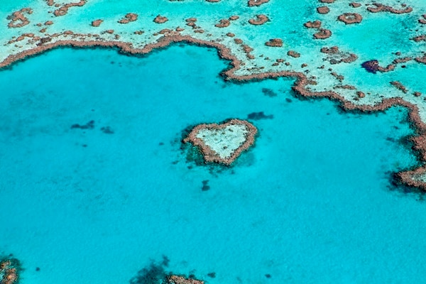 宿泊付きパッケージ