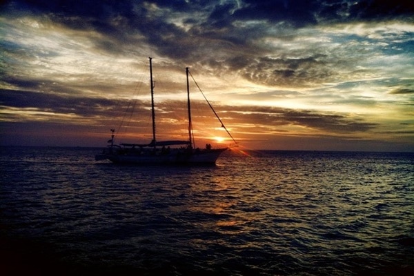 大自然アクティビティー