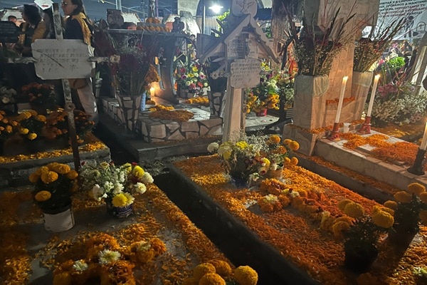 季節限定ツアー