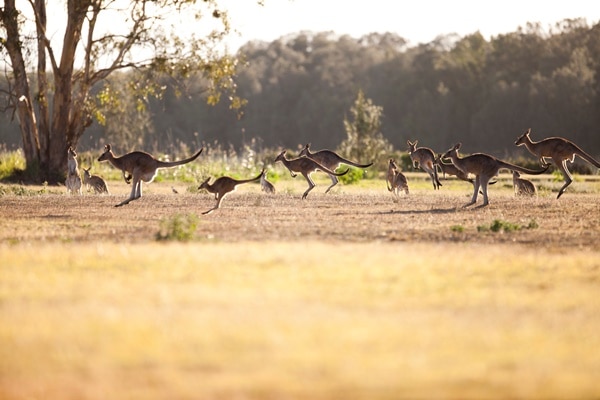世界遺産ツアー