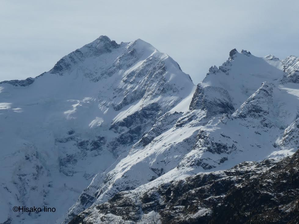チケット 氷河 流