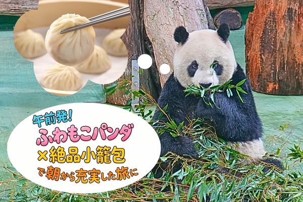 専用車ツアー