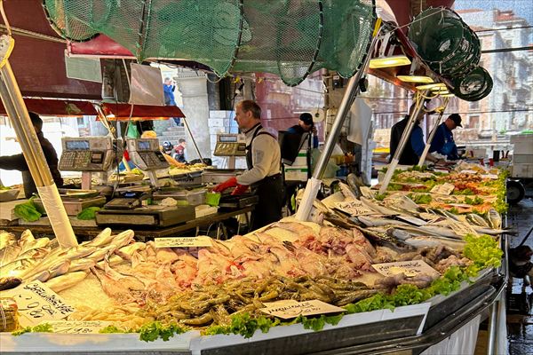 サンマルコ寺院入場付き