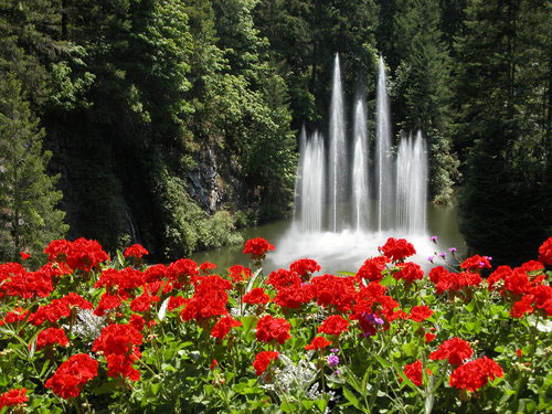 季節限定ツアー