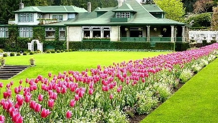 貸切チャーター、プライベート