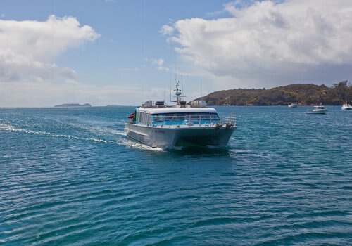 H I S インバーカーギル発 スチュアート島へのバス フェリーインバーカーギル ブラフ ニュージーランド のオプショナルツアー 海外現地ツアー格安予約
