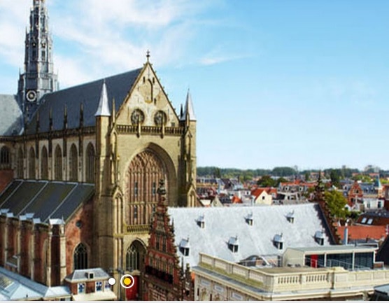 【チーズとビール】美味しい北オランダツアー(日本語ガイド＆ドリンク付)（通年・金曜限定）