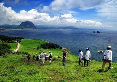 済州島３大滝巡りツアー＋オルレ・ウォーキング
