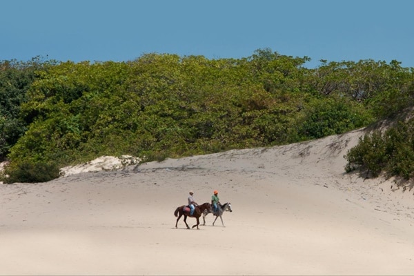 ゆっくりと馬さんに乗りながら、砂丘を楽しみましょう！