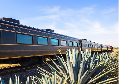 テキーラ列車に乗って、テキーラ漬け満喫1日ツアー！