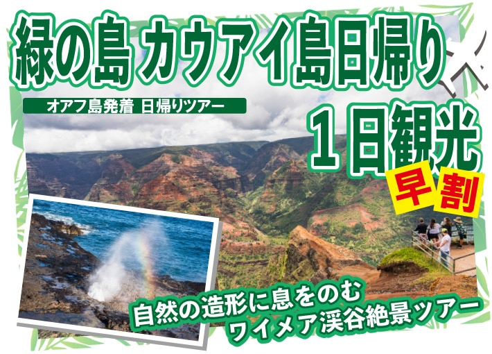 ＜早期割引＞ 【オアフ島発着】カウアイ島日帰り 自然の造形に息をのむワイメア渓谷絶景ツアー