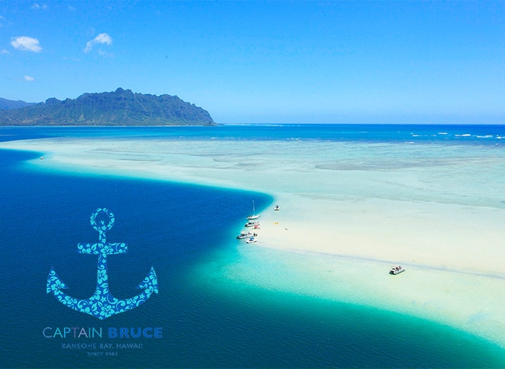 キャプテンブルース 天国の海 サンドバー ＆ タートルタイムクルーズ（期間限定）