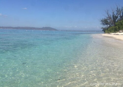 H I S ポートロイヤル ダウンタウン デボンハウスキングストン ジャマイカ のオプショナルツアー 海外現地ツアー格安予約