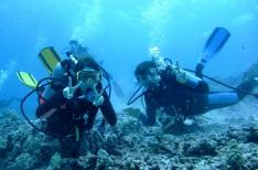 H I S 体験スキューバダイビング ハワイ島 コナ ハワイ島 ハワイ アメリカ のオプショナルツアー 海外現地ツアー格安予約