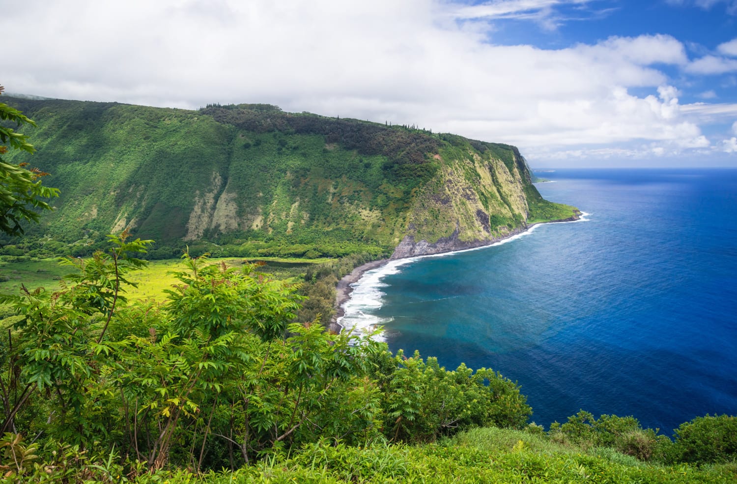 オーダーメイドハワイ島 "日本語ガイド・チャーターツアーで効率よくお勧めの場所にご案内します”