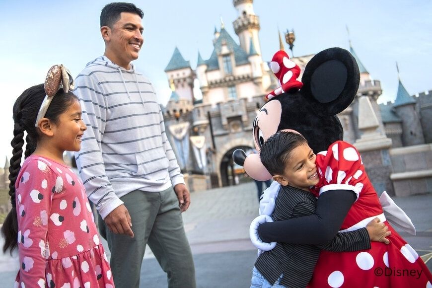 ディズニーランド　チケット手配