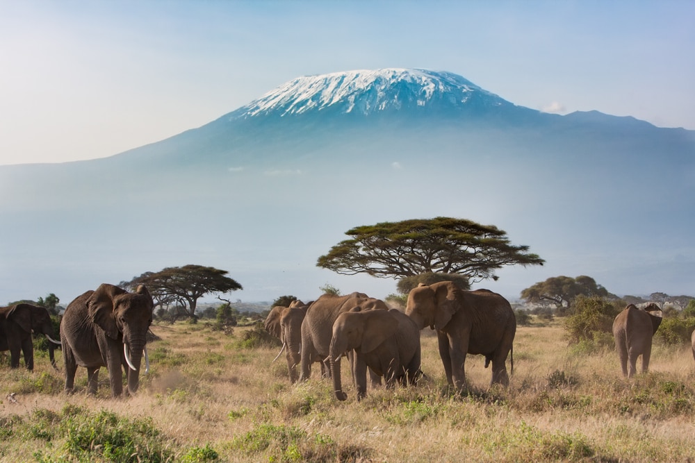 【宿泊パッケージ】ナイロビ発着 ６泊７日　ケニアの絶景を満喫ツアー（日本語ガイド）