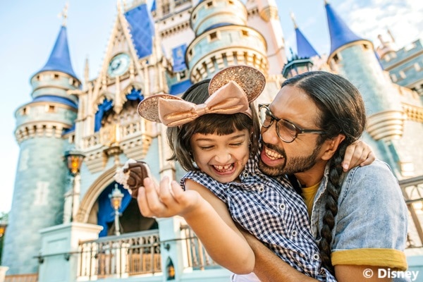 フロリダ ウォルト・ディズニー・ワールド・リゾート｜テーマパークチケット｜パークホッパープラスチケット（入場券）