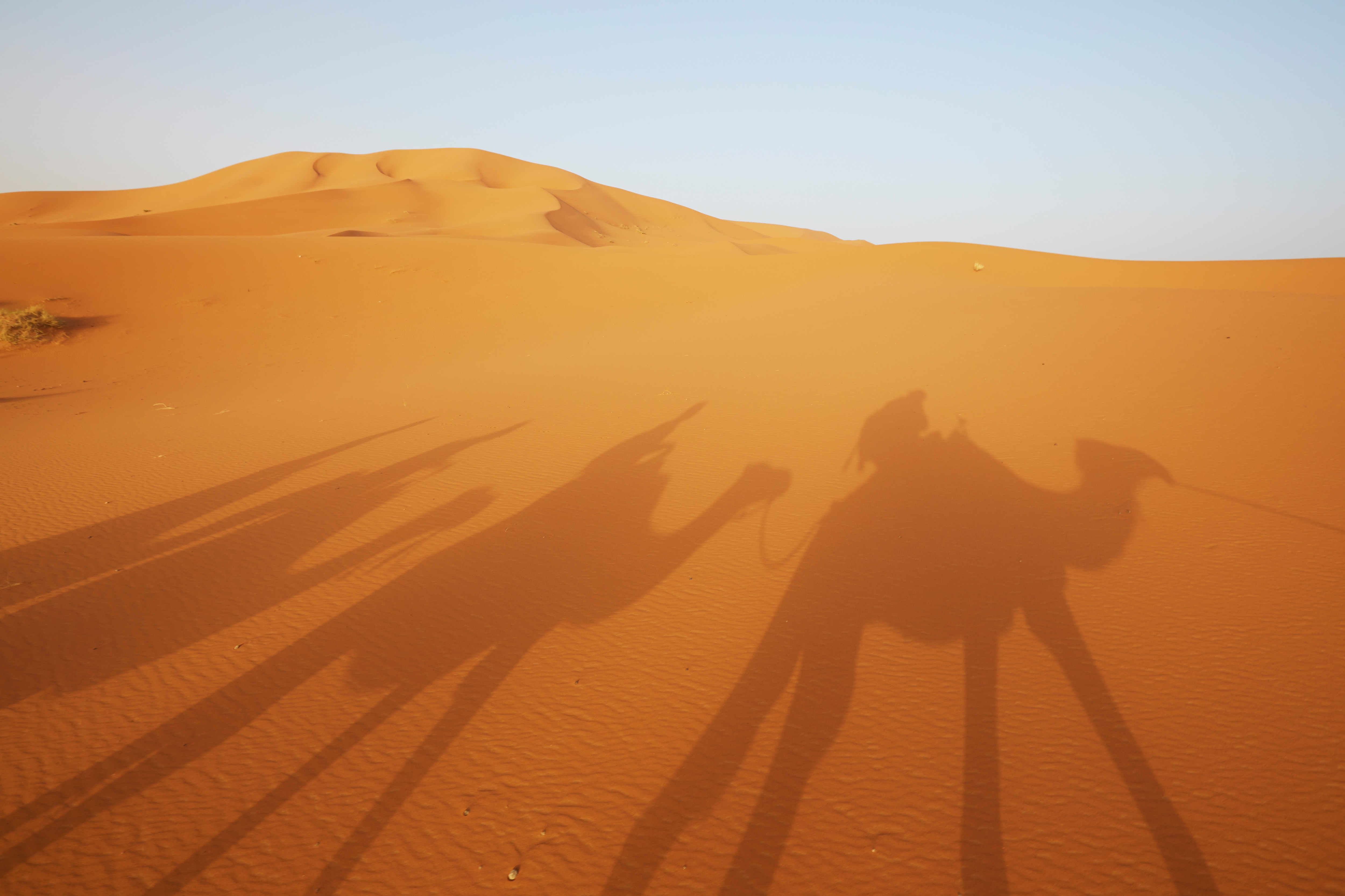 【マラケシュ発フェズ着】メルズーガで一夜を過ごす　モロッコ砂漠周遊ツアー2泊3日【スタンダードプラン】