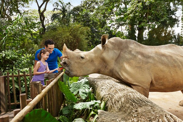 H I S シンガポール動物園満喫ツアー オラウータンとの朝食付き シンガポール シンガポール のオプショナルツアー 海外現地ツアー格安予約