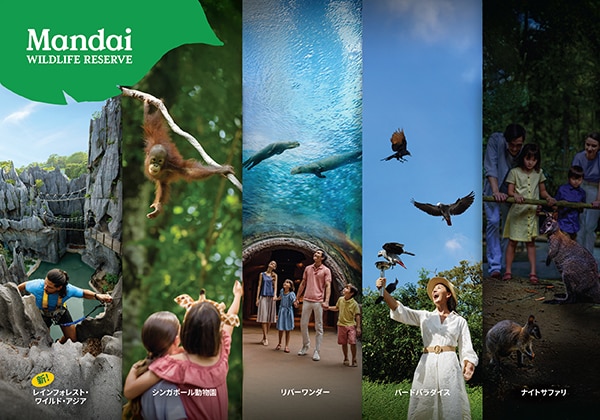 シンガポール動物園 入場券 & 片道送迎プラン