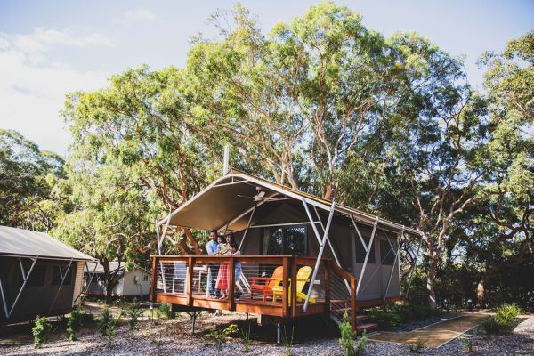 【セルフドライブ向け】コアラサンクチュアリ　宿泊プラン《デラックスグランピングテント》