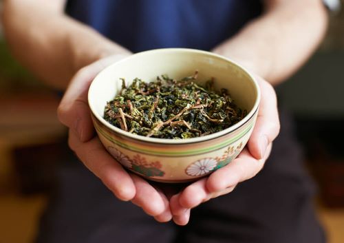 台湾茶のプロから台湾茶の歴史文化を深く知る