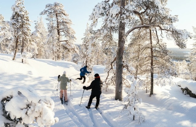 フォレストスキー体験(英語)