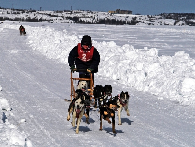 H I S 冬季 犬ぞり体験イエローナイフ カナダ のオプショナルツアー 海外現地ツアー格安予約