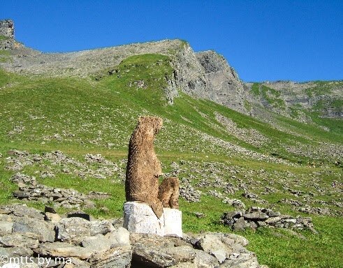 H I S グリンデルワルト発 プライベート 貸切日本語ハイキングガイドと歩くグローセシャイデック フィルスト 初級 中級グリンデルワルド スイス のオプショナルツアー 海外現地ツアー格安予約