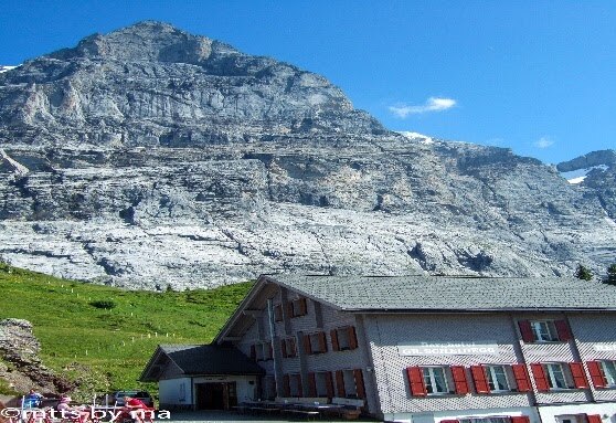 H I S グリンデルワルト発 プライベート 貸切日本語ハイキングガイドと歩くグローセシャイデック フィルスト 初級 中級グリンデルワルド スイス のオプショナルツアー 海外現地ツアー格安予約