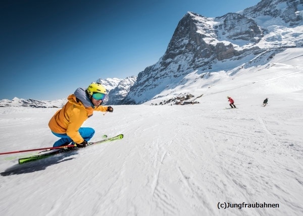 H I S スキーパス Sportpass Grindelwald グリンデルワルト Wengen ヴェンゲン エリア 2地区ご利用頂けるパス インターラーケン スイス のオプショナルツアー 海外現地ツアー格安予約